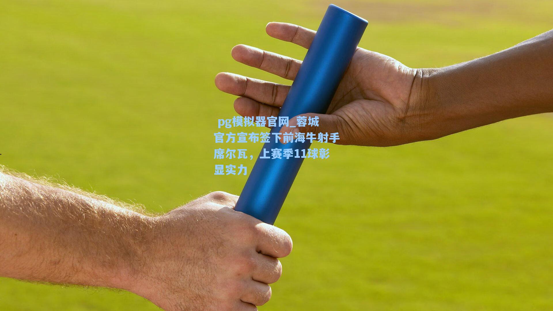  pg模拟器官网_蓉城官方宣布签下前海牛射手席尔瓦，上赛季11球彰显实力